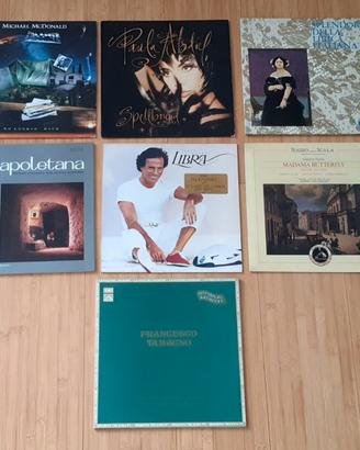 Dischi in vinile 33 giri