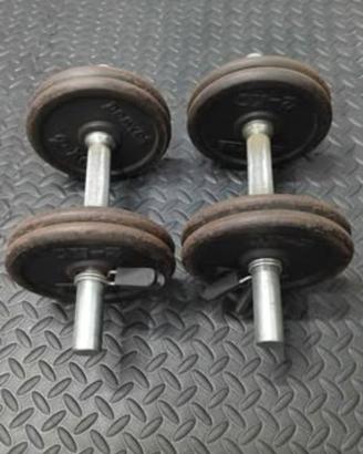 2 manubri da 8kg l'uno 