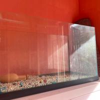 Teca in vetro per animali