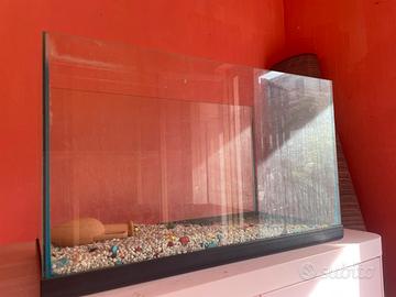 Teca in vetro per animali