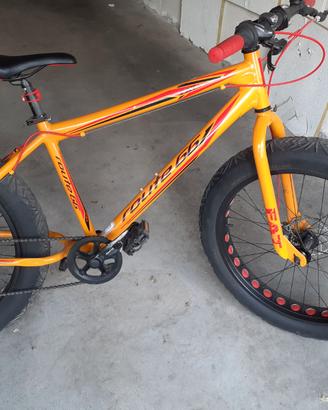 Biciclettata 