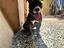 Immagine 1