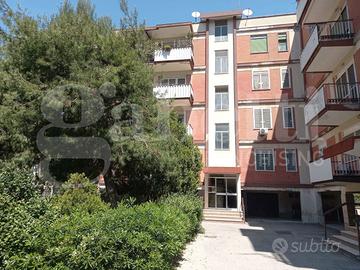 Appartamento Bari [Cod. rif 3314856VRG]