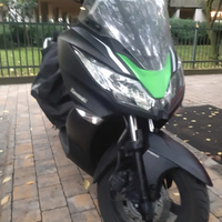 Kawasaki J300
