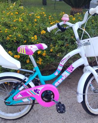 Bicicletta