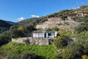 CASA INDIPENDENTE A TAGGIA