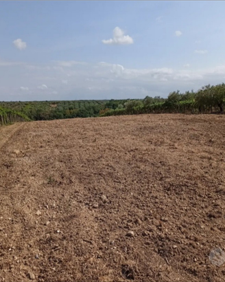 Terreno agricolo