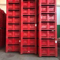 CASSE AGRIBOX VERARDI ROSSE