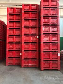 CASSE AGRIBOX VERARDI ROSSE