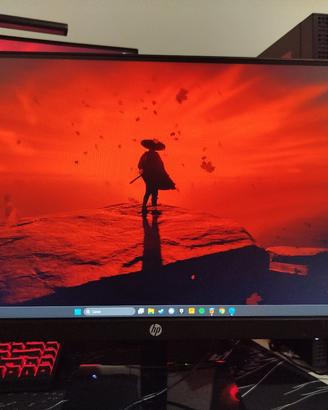 Monitor HP