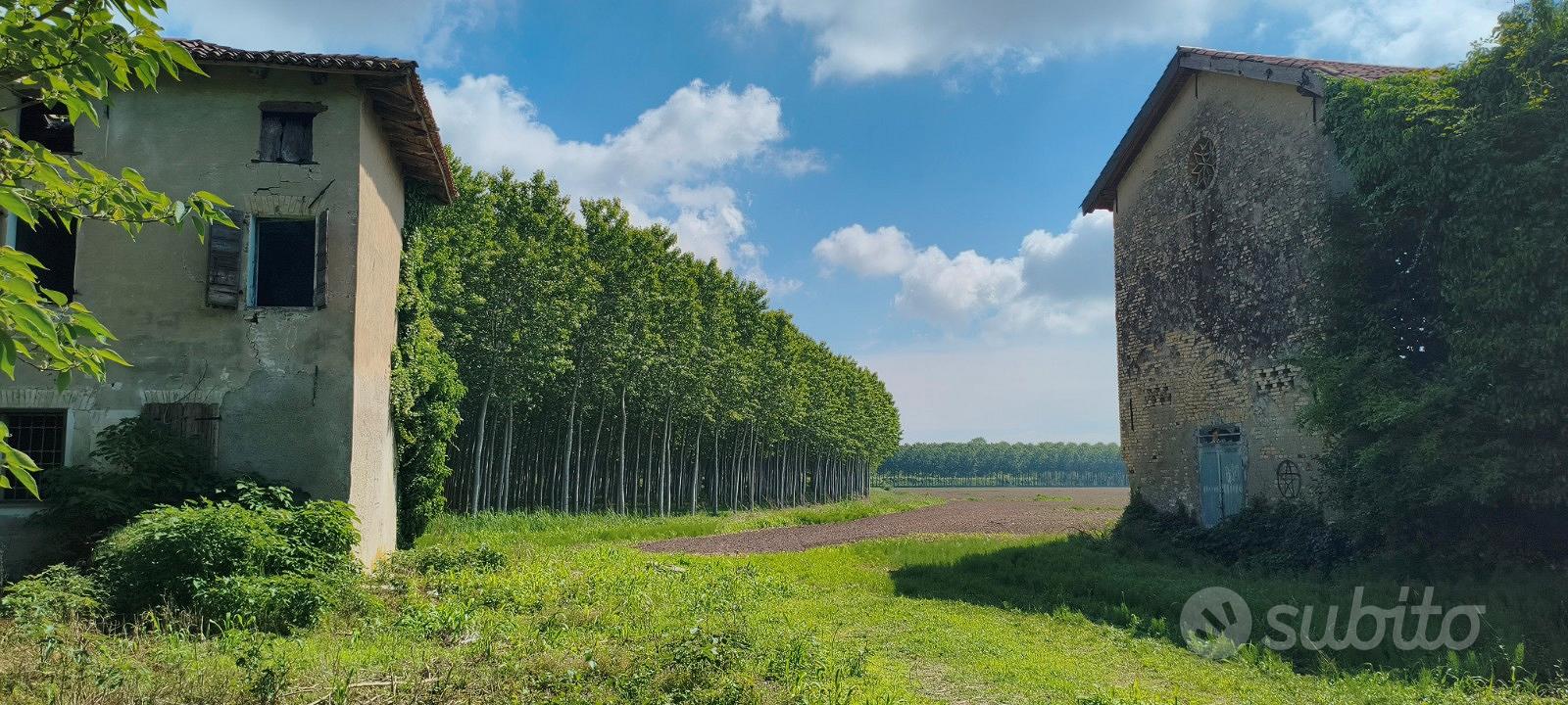 Vendita 2 abitazioni rustiche - Vista 3