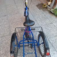 Bici elettrica 3 ruote