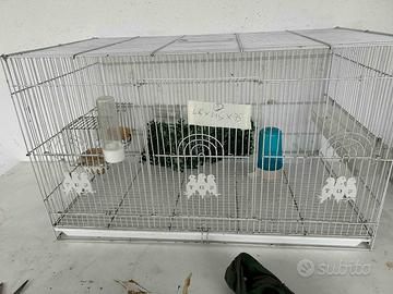 Gabbia per uccelli con accessori