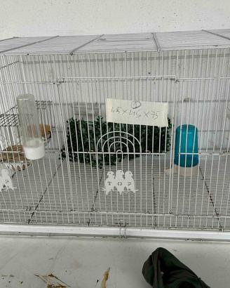 Gabbia per uccelli con accessori