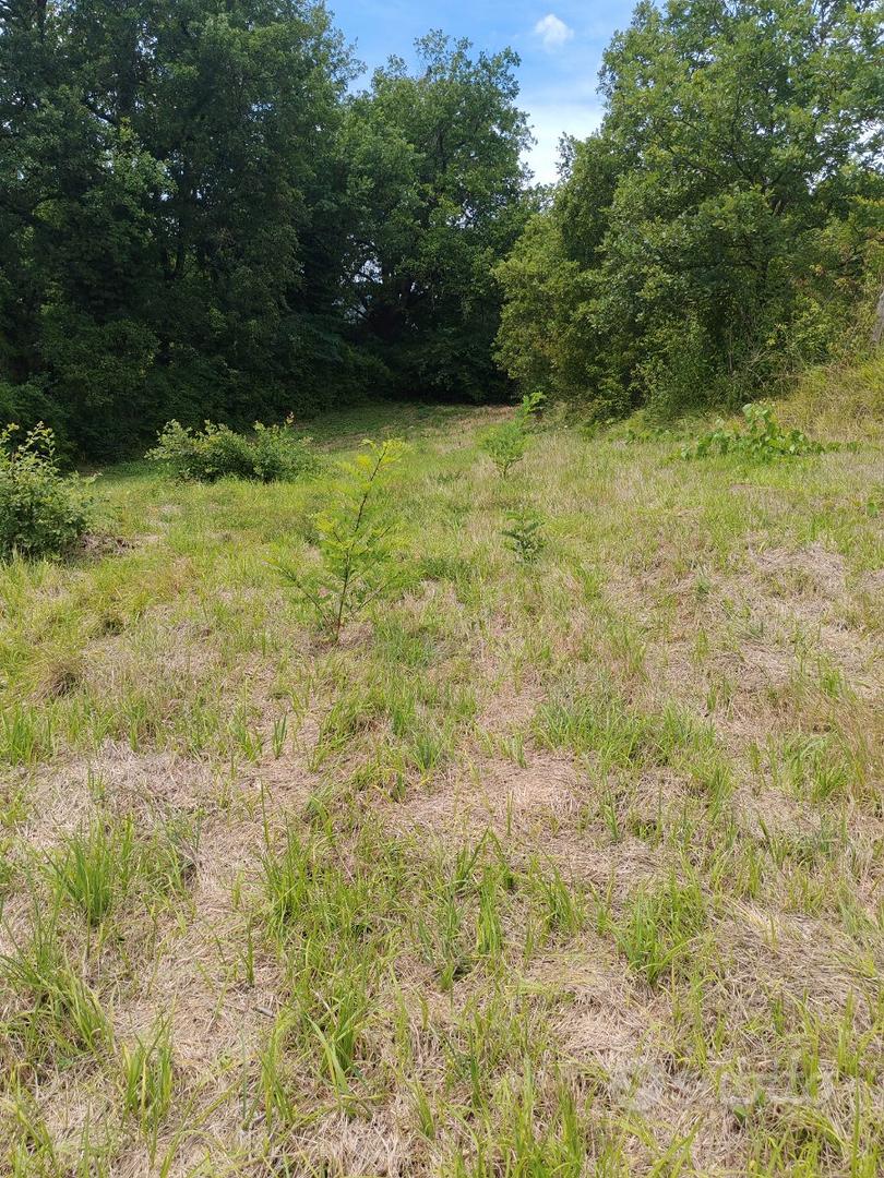 Terreno agricolo - Vista 4