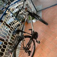 Biciclette Morris da passeggio