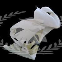 Carene ZX6R ZX10R vetroresina racing kit e ricambi