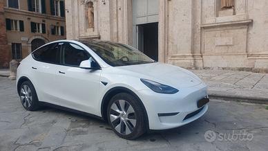 TESLA MODEL Y AWD DUAL MOTOR