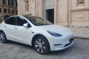 TESLA MODEL Y AWD DUAL MOTOR