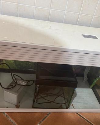 Acquario Askoll pure Led