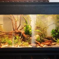  acquario con luce e filtro 