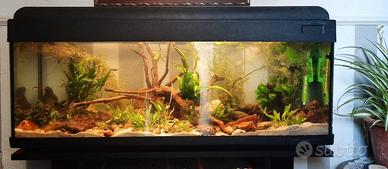  acquario con luce e filtro 