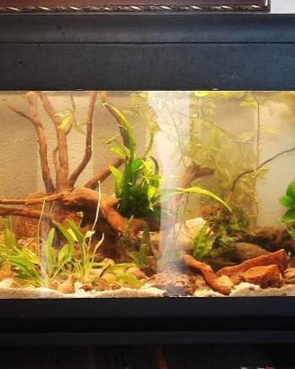  acquario con luce e filtro 