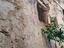 Immagine 14