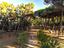 Immagine 24