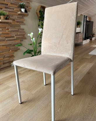 Set di 4 sedie in vero velluto beige