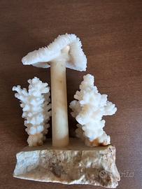 Corallo giapponese Alberello fungo 