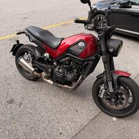 Benelli leoncino 500