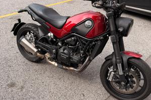 Benelli leoncino 500