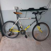 mountain bike usate