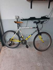 mountain bike usate