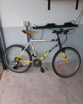 mountain bike usate