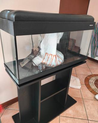 acquario
