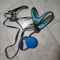 guinzaglio per cani