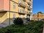 Immagine 7