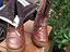 Immagine 2