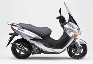 ricambi suzuki epicuro 125 250