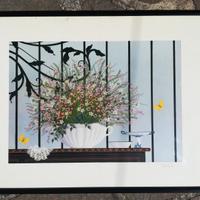 Stampa con cornice nera