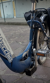 Bici elettrica Bottecchia Verde Natura