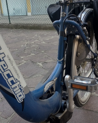 Bici elettrica Bottecchia Verde Natura