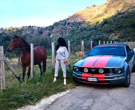 Meraviglios mustang 2006, 4000 v6