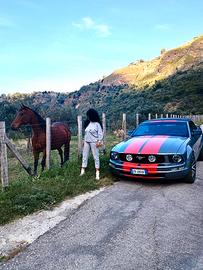 Meraviglios mustang 2006, 4000 v6