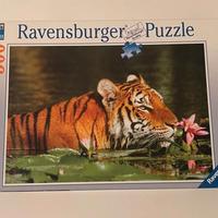 Ravensburger Puzzle 500 pezzi -Tigre fra le ninfee