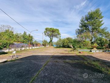 Negozio Alife [Cod. rif 3246865VCG]