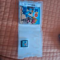 gioco nintendo DS