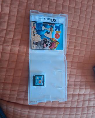 gioco nintendo DS
